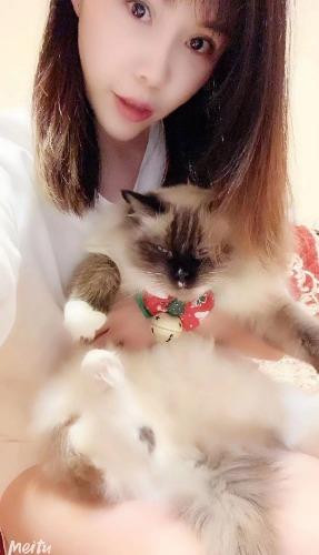 出击达官营红颜